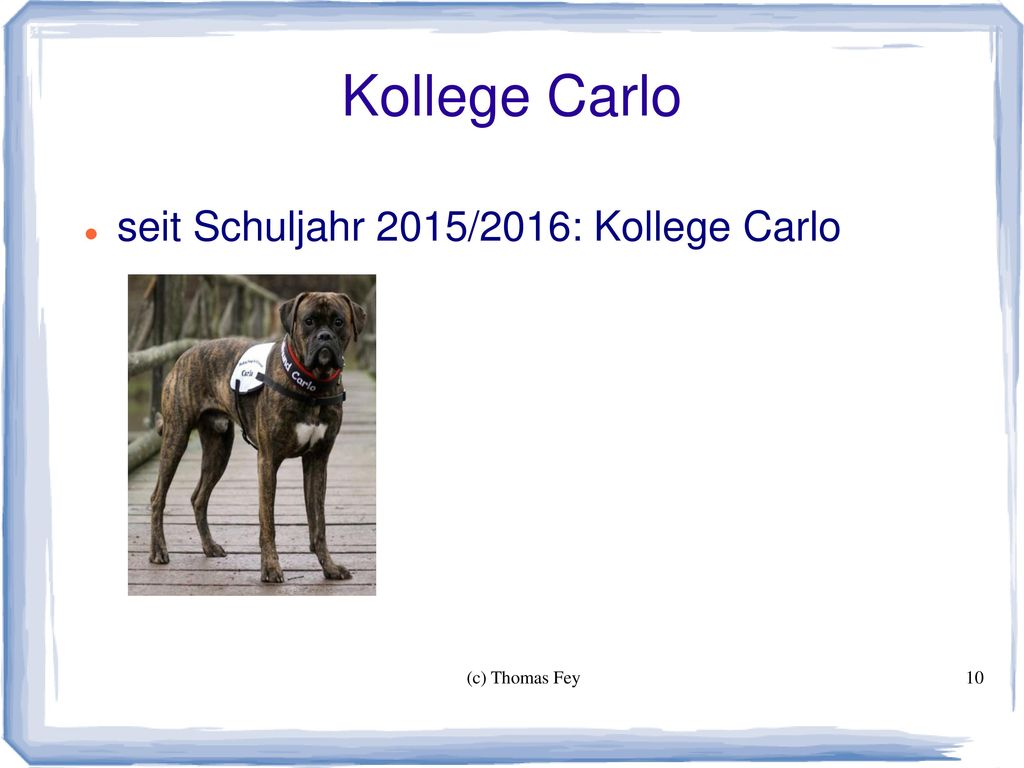 Kollege Carlo seit Schuljahr 2015/2016: Kollege Carlo (c) Thomas Fey