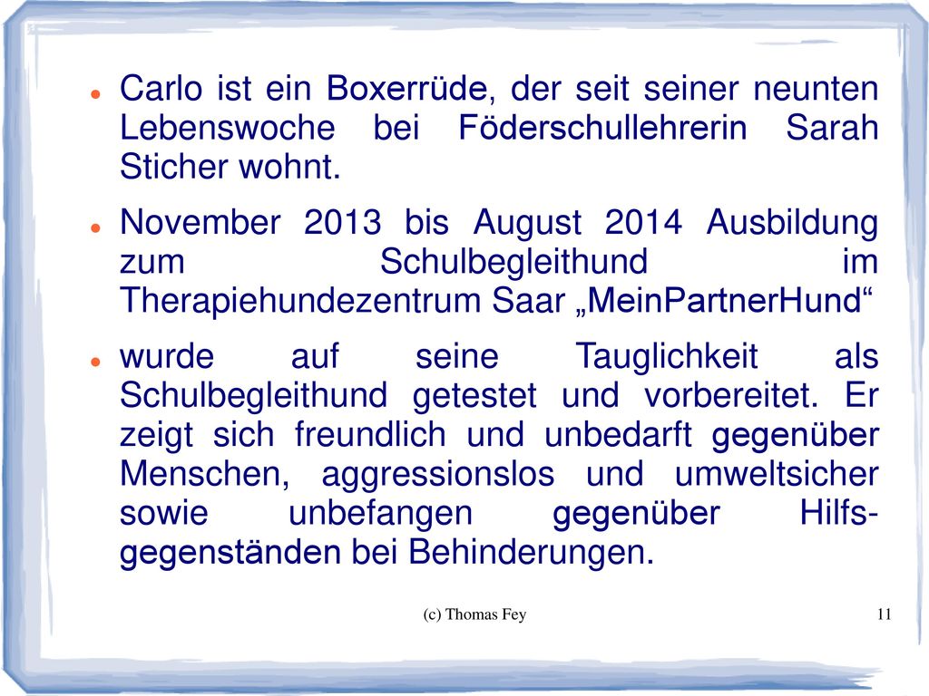 Carlo ist ein Boxerrüde, der seit seiner neunten Lebenswoche bei Föderschullehrerin Sarah Sticher wohnt.