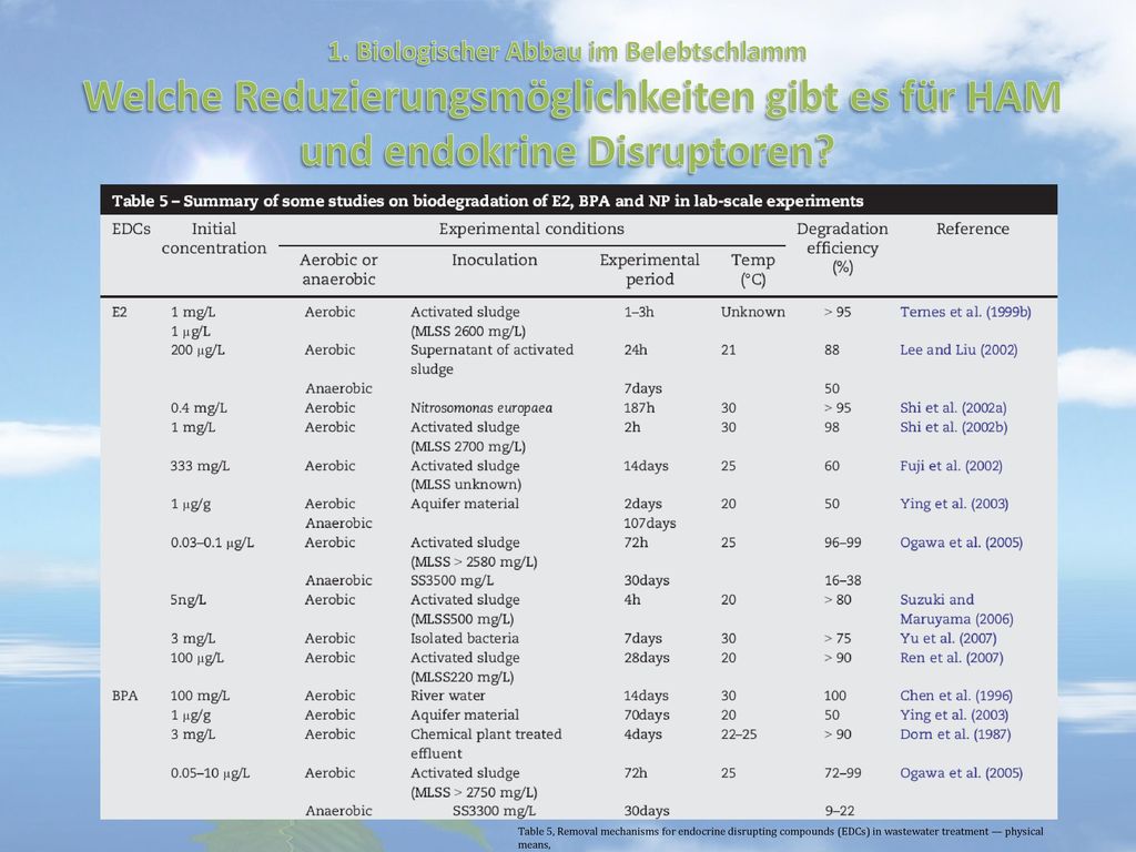 1. Biologischer Abbau im Belebtschlamm Welche Reduzierungsmöglichkeiten gibt es für HAM und endokrine Disruptoren