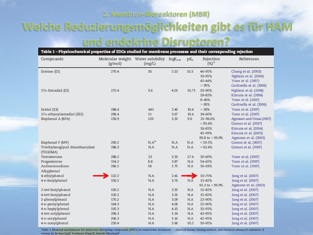 2. Membran-Bioreaktoren (MBR) Welche Reduzierungsmöglichkeiten gibt es für HAM und endokrine Disruptoren