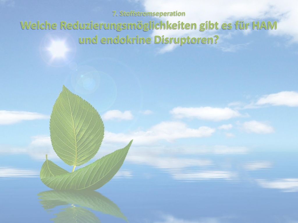 7. Stoffstromseperation Welche Reduzierungsmöglichkeiten gibt es für HAM und endokrine Disruptoren