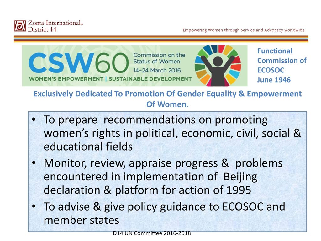 To advise & give policy guidance to ECOSOC and member states
