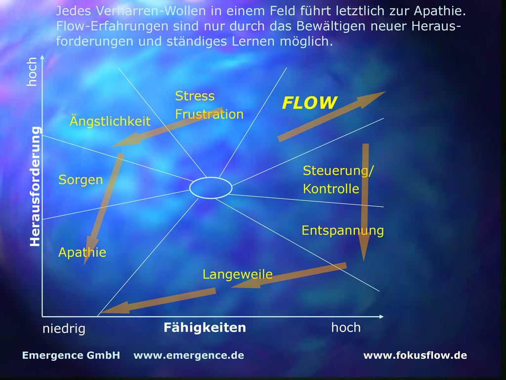 FLOW Jedes Verharren-Wollen in einem Feld führt letztlich zur Apathie.