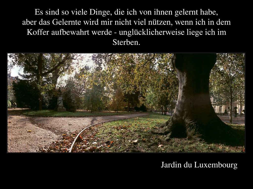 Es sind so viele Dinge, die ich von ihnen gelernt habe, aber das Gelernte wird mir nicht viel nützen, wenn ich in dem Koffer aufbewahrt werde - unglücklicherweise liege ich im Sterben.