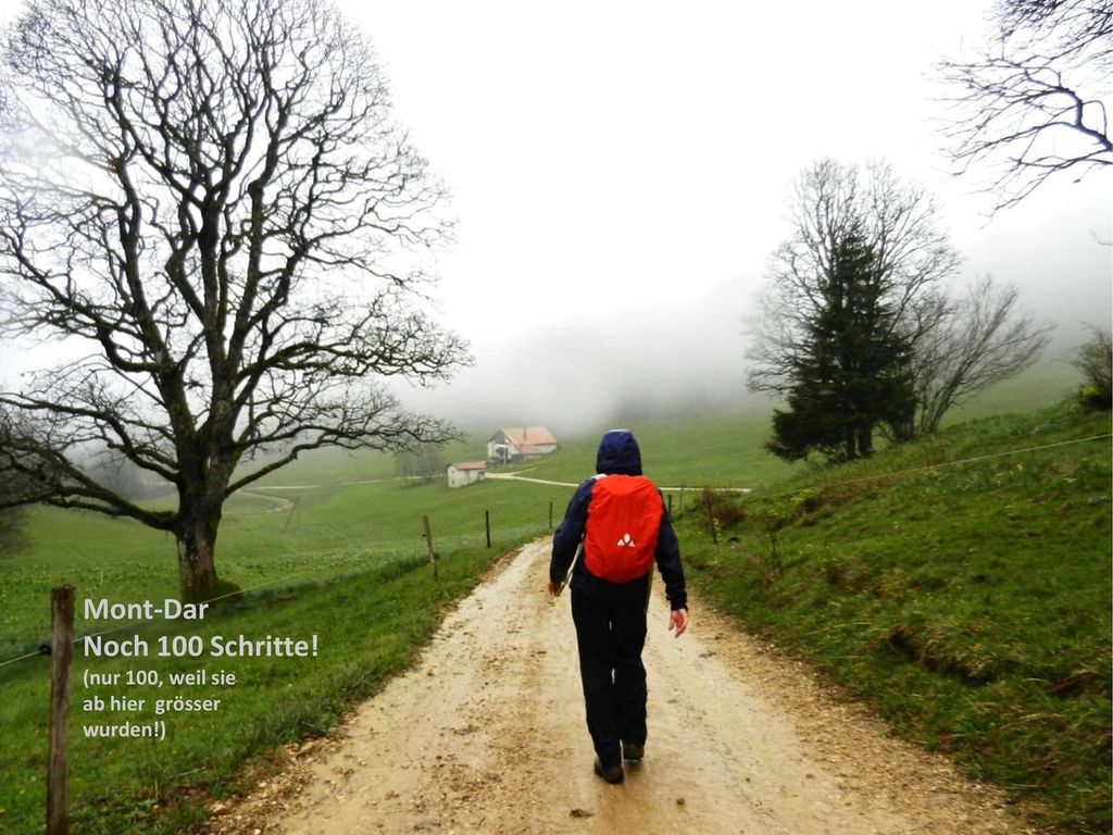 Mont-Dar Noch 100 Schritte! (nur 100, weil sie ab hier grösser