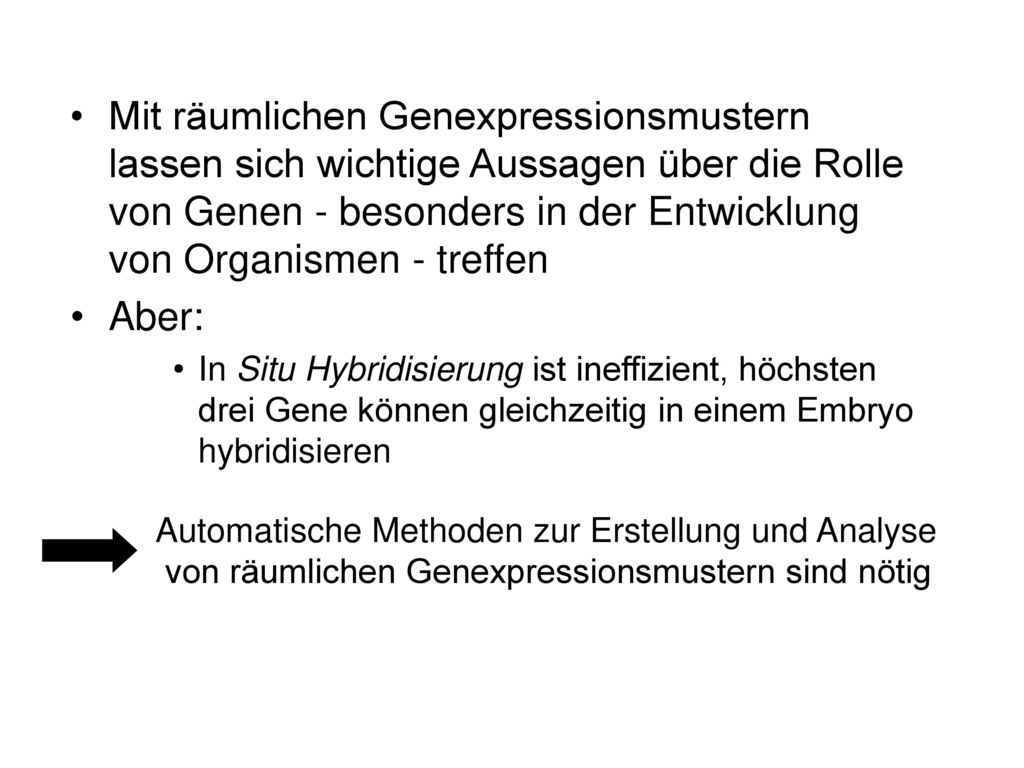 Mit räumlichen Genexpressionsmustern lassen sich wichtige Aussagen über die Rolle von Genen - besonders in der Entwicklung von Organismen - treffen