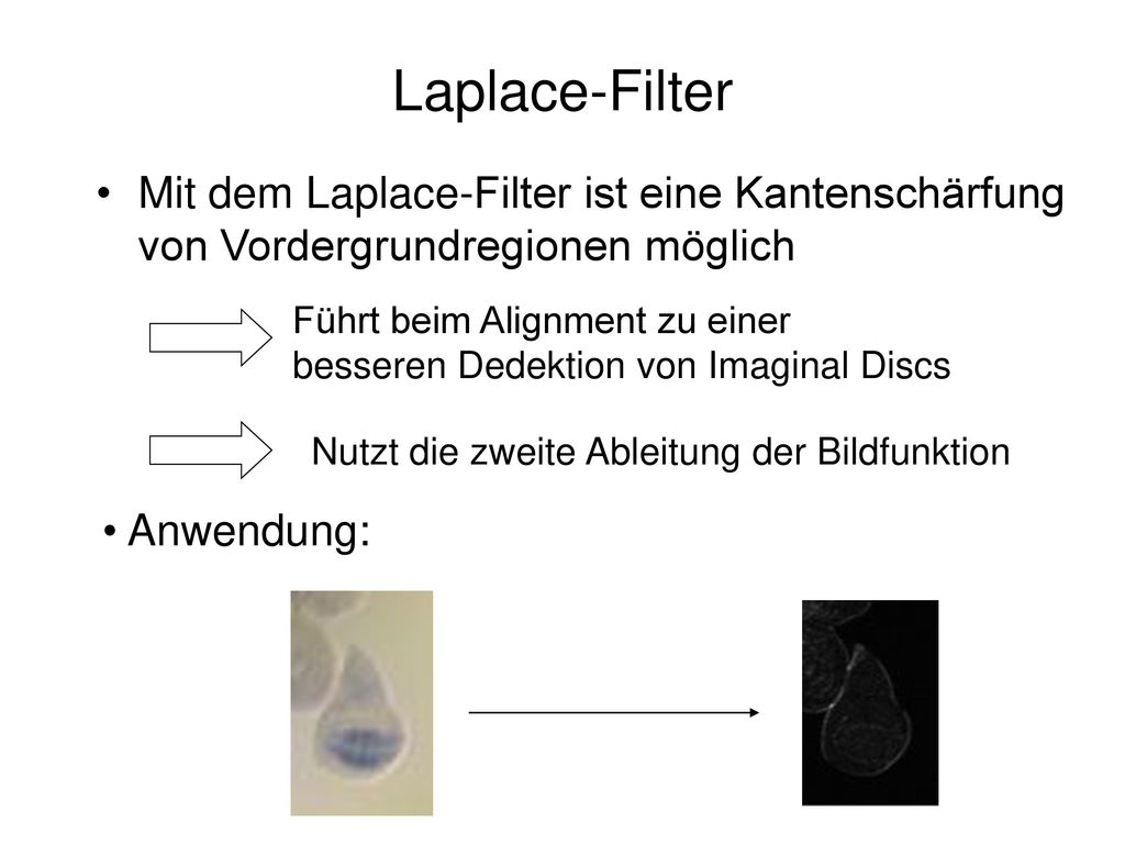 Laplace-Filter Mit dem Laplace-Filter ist eine Kantenschärfung von Vordergrundregionen möglich. Führt beim Alignment zu einer.