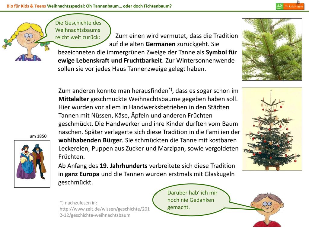 Bio für Kids & Teens Weihnachtsspecial: Oh Tannenbaum… oder doch Fichtenbaum