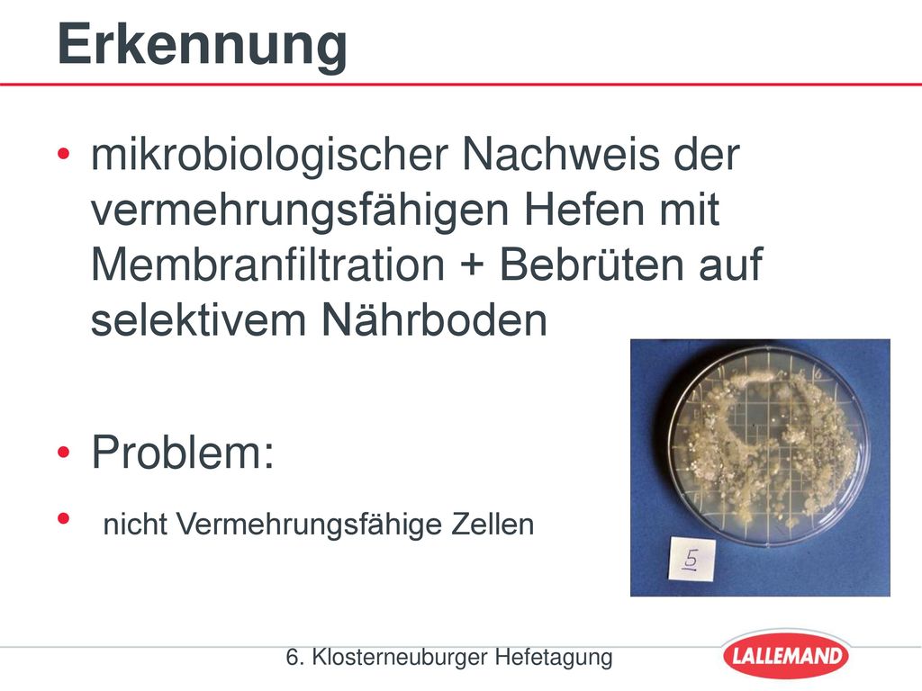 Erkennung mikrobiologischer Nachweis der vermehrungsfähigen Hefen mit Membranfiltration + Bebrüten auf selektivem Nährboden.
