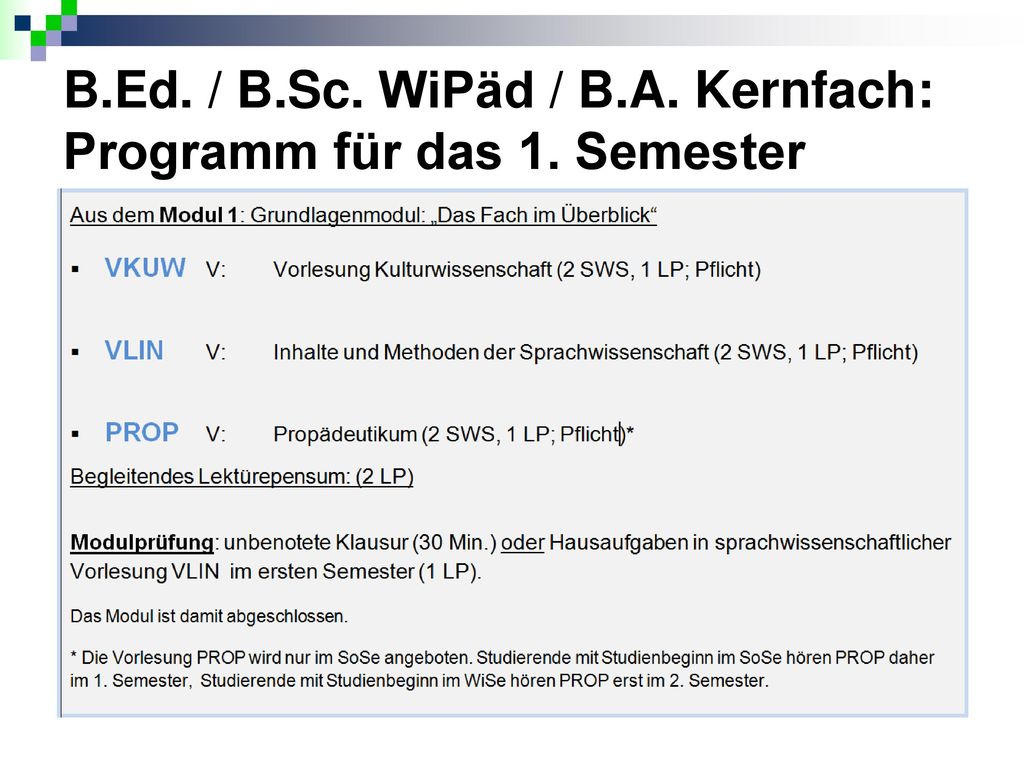 B.Ed. / B.Sc. WiPäd / B.A. Kernfach: Programm für das 1. Semester