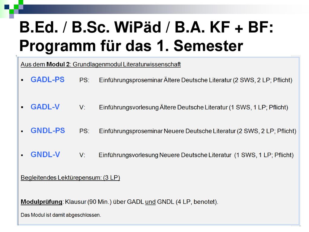 B.Ed. / B.Sc. WiPäd / B.A. KF + BF: Programm für das 1. Semester