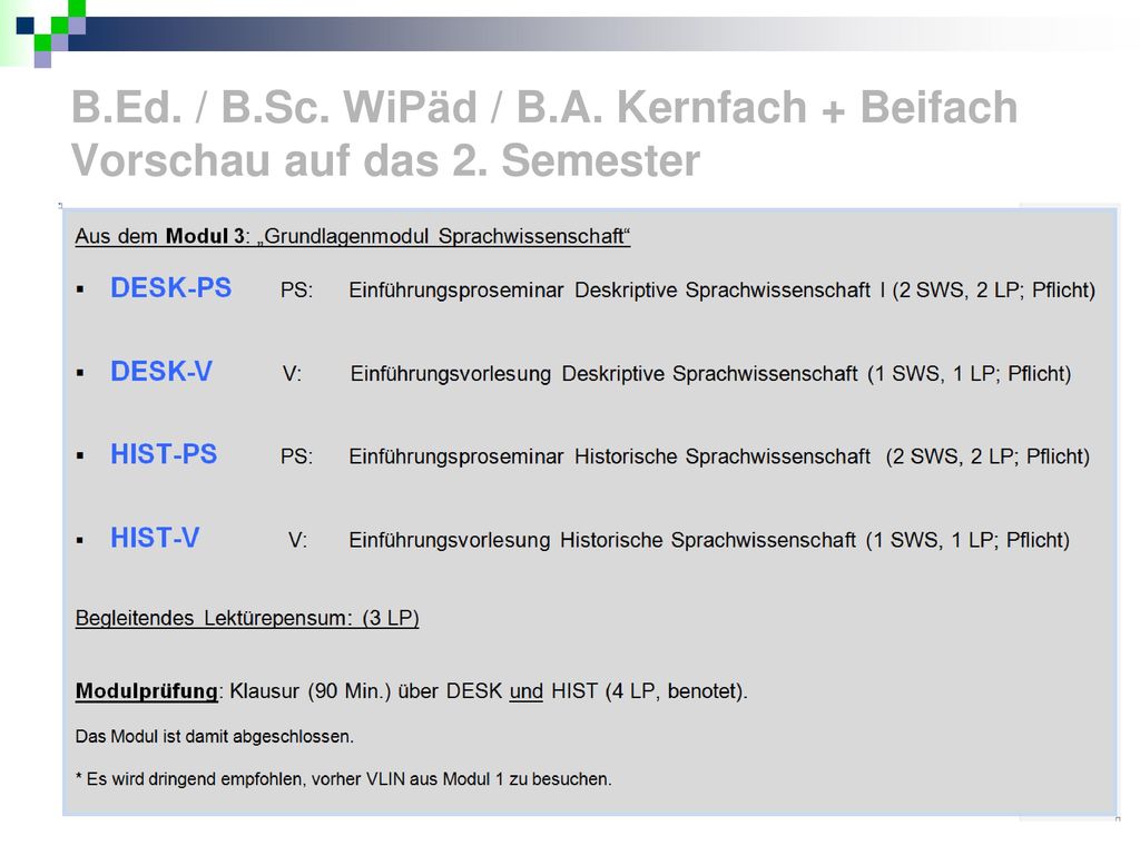 B. Ed. / B. Sc. WiPäd / B. A. Kernfach + Beifach Vorschau auf das 2