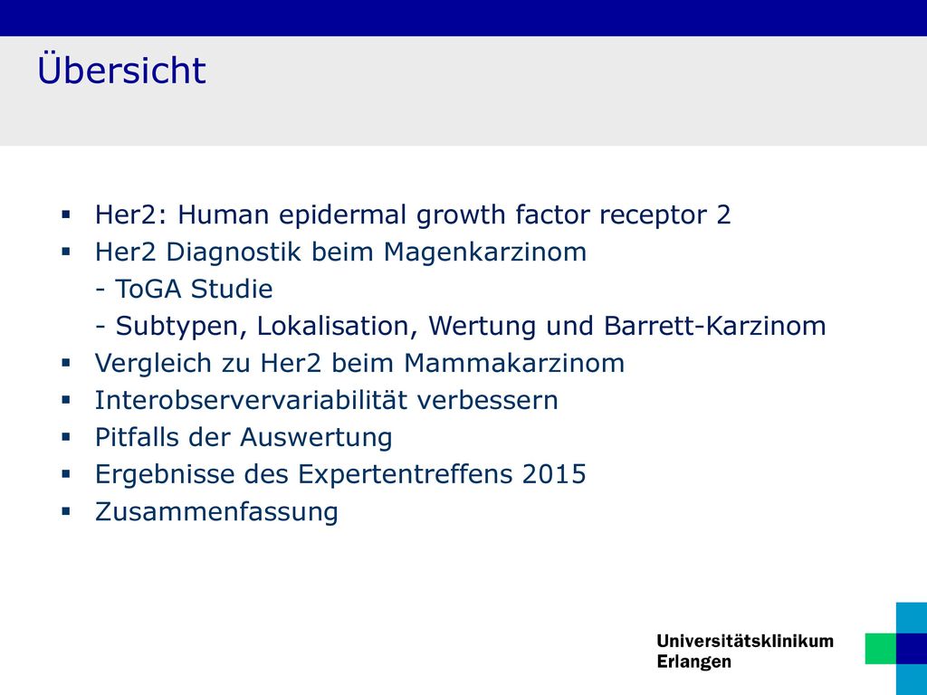 Übersicht Her2: Human epidermal growth factor receptor 2