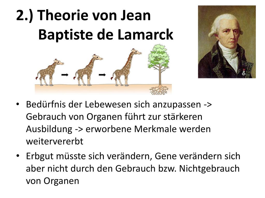 2.) Theorie von Jean Baptiste de Lamarck