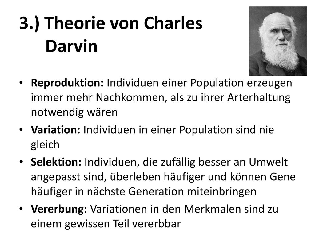 3.) Theorie von Charles Darvin