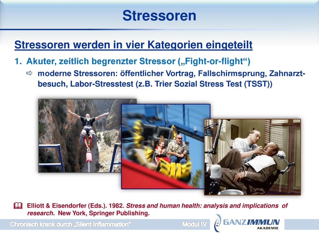 Stressoren Stressoren werden in vier Kategorien eingeteilt
