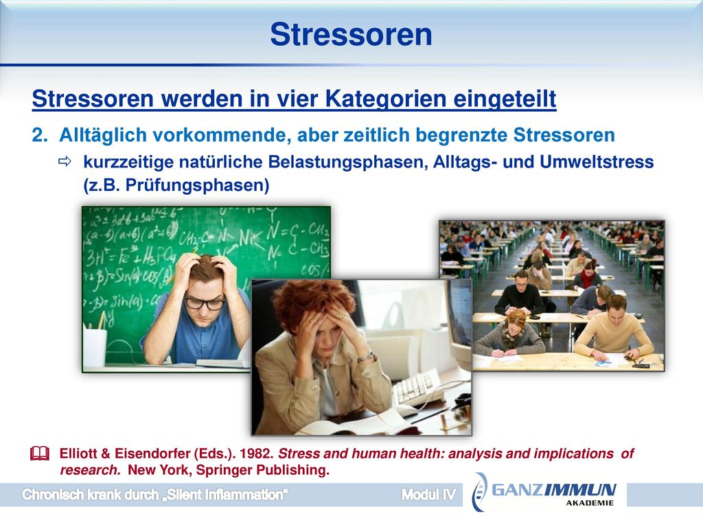 Stressoren Stressoren werden in vier Kategorien eingeteilt
