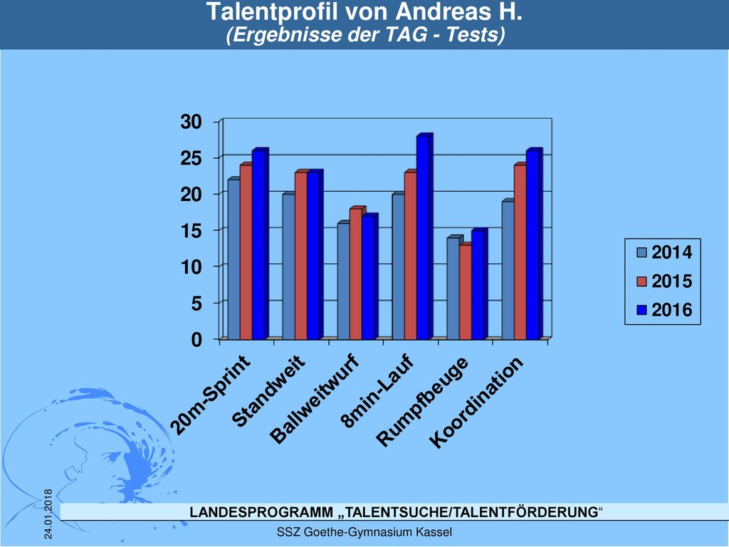 Talentprofil von Andreas H. (Ergebnisse der TAG - Tests)