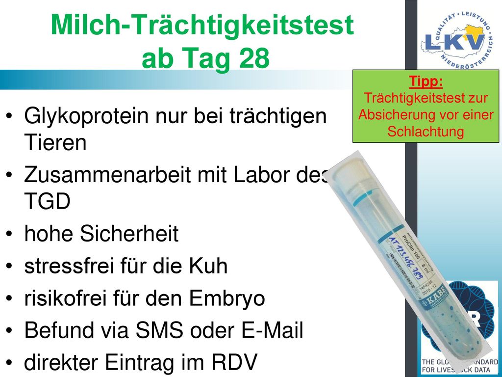Milch-Trächtigkeitstest ab Tag 28