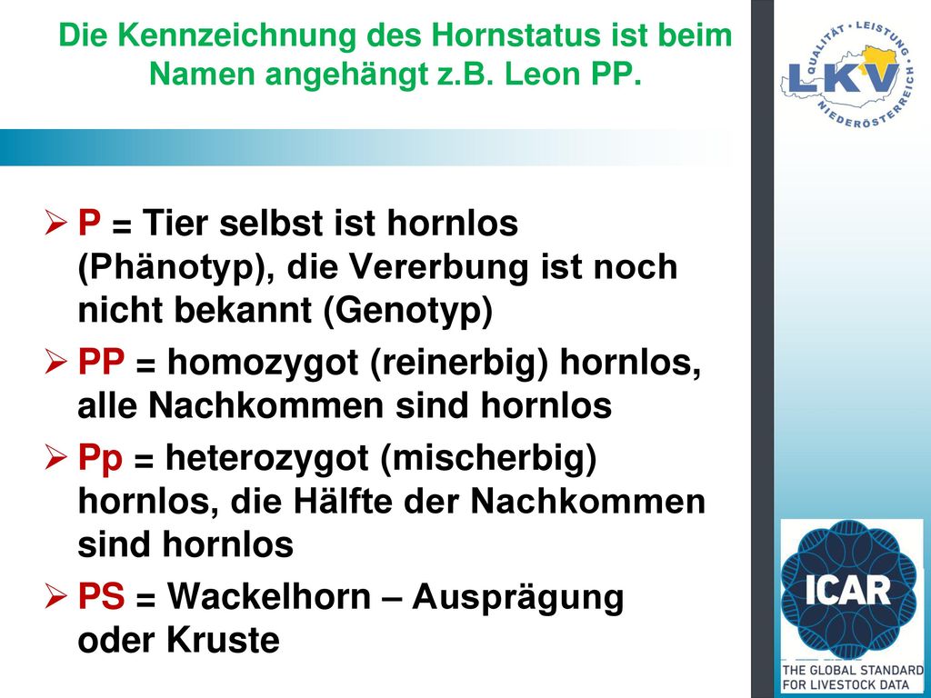 PP = homozygot (reinerbig) hornlos, alle Nachkommen sind hornlos