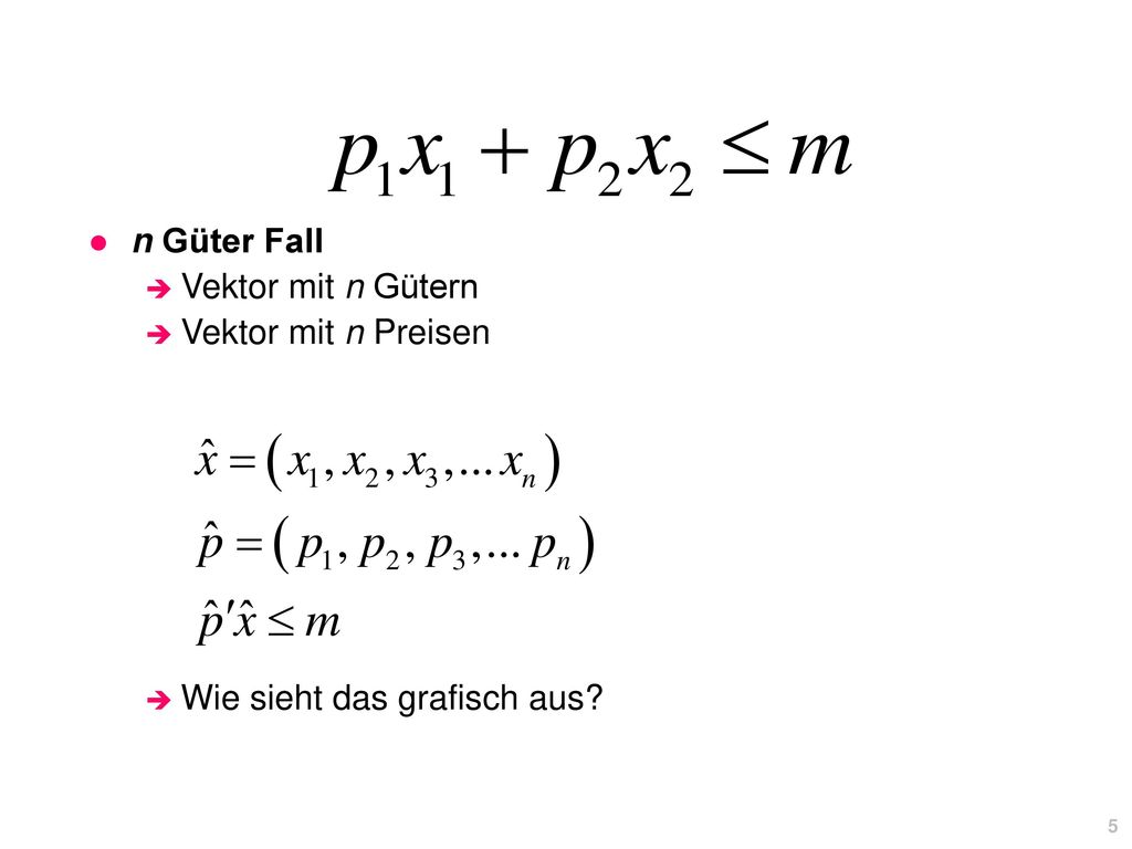 n Güter Fall Vektor mit n Gütern Vektor mit n Preisen Wie sieht das grafisch aus