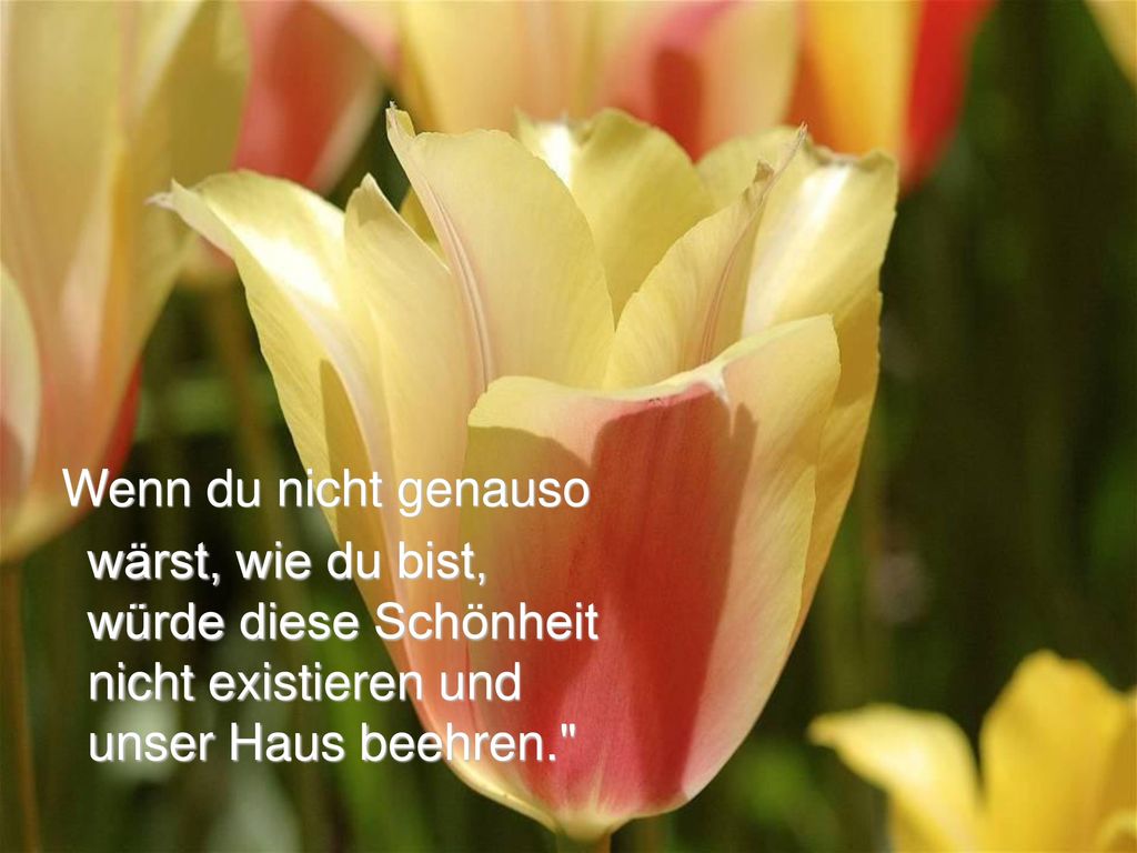 Wenn du nicht genauso wärst, wie du bist, würde diese Schönheit nicht existieren und unser Haus beehren.