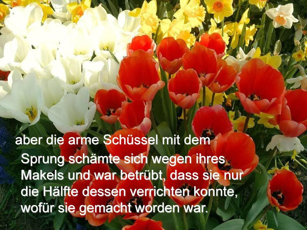 aber die arme Schüssel mit dem Sprung schämte sich wegen ihres Makels und war betrübt, dass sie nur die Hälfte dessen verrichten konnte, wofür sie gemacht worden war.