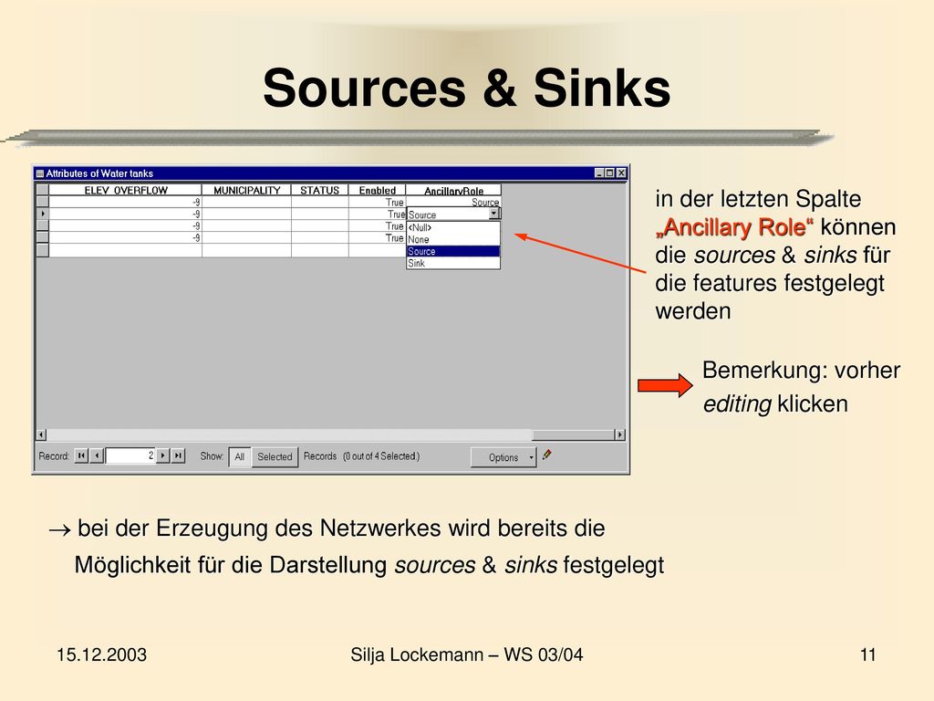Sources & Sinks in der letzten Spalte „Ancillary Role können die sources & sinks für die features festgelegt werden.