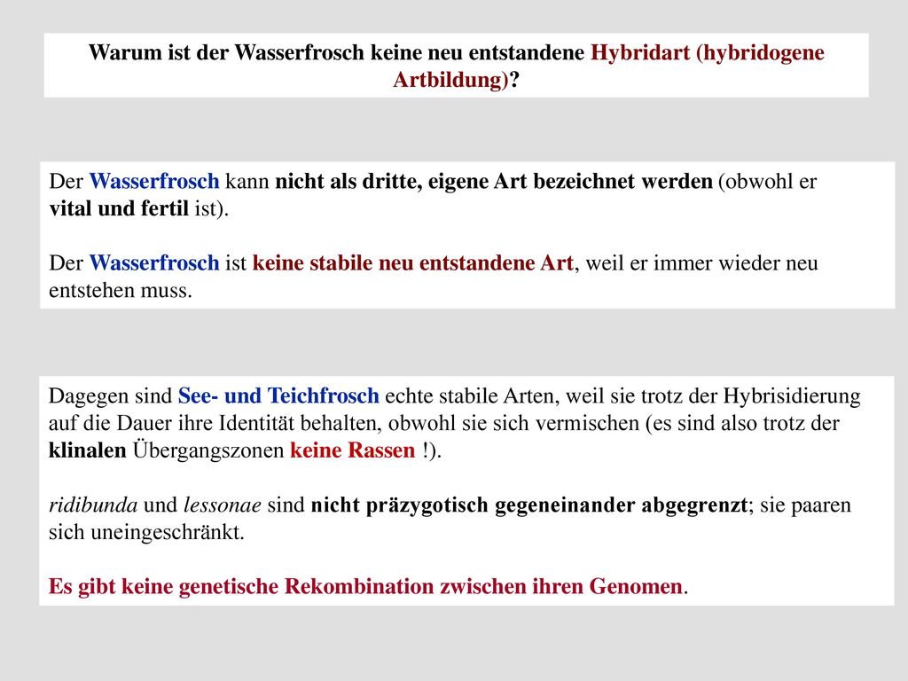 Warum ist der Wasserfrosch keine neu entstandene Hybridart (hybridogene Artbildung)