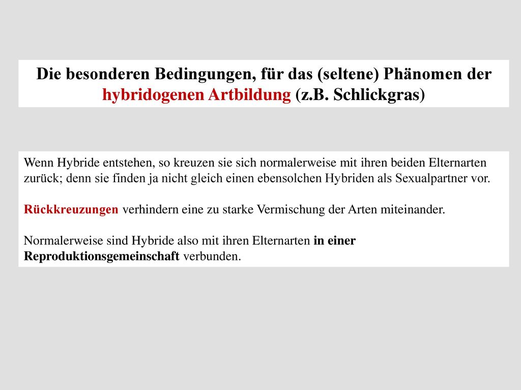 Die besonderen Bedingungen, für das (seltene) Phänomen der hybridogenen Artbildung (z.B. Schlickgras)