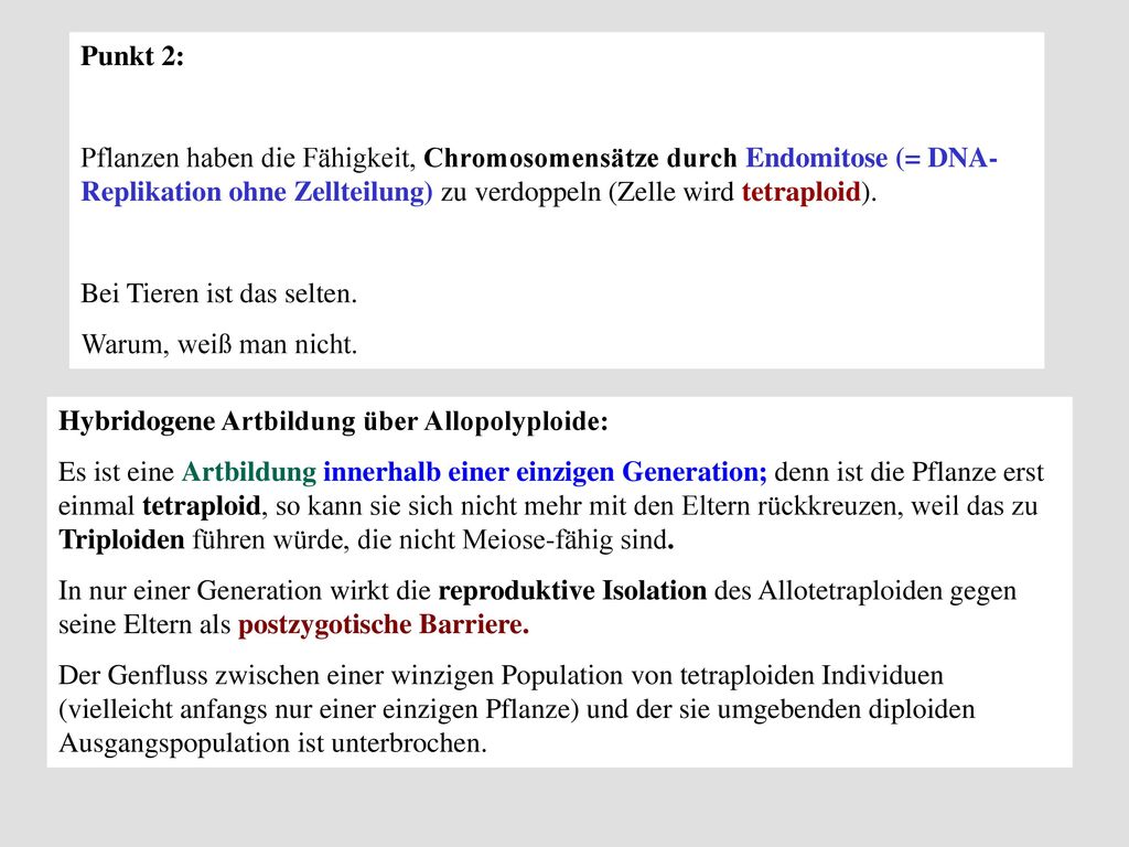 Punkt 2: Pflanzen haben die Fähigkeit, Chromosomensätze durch Endomitose (= DNA-Replikation ohne Zellteilung) zu verdoppeln (Zelle wird tetraploid).
