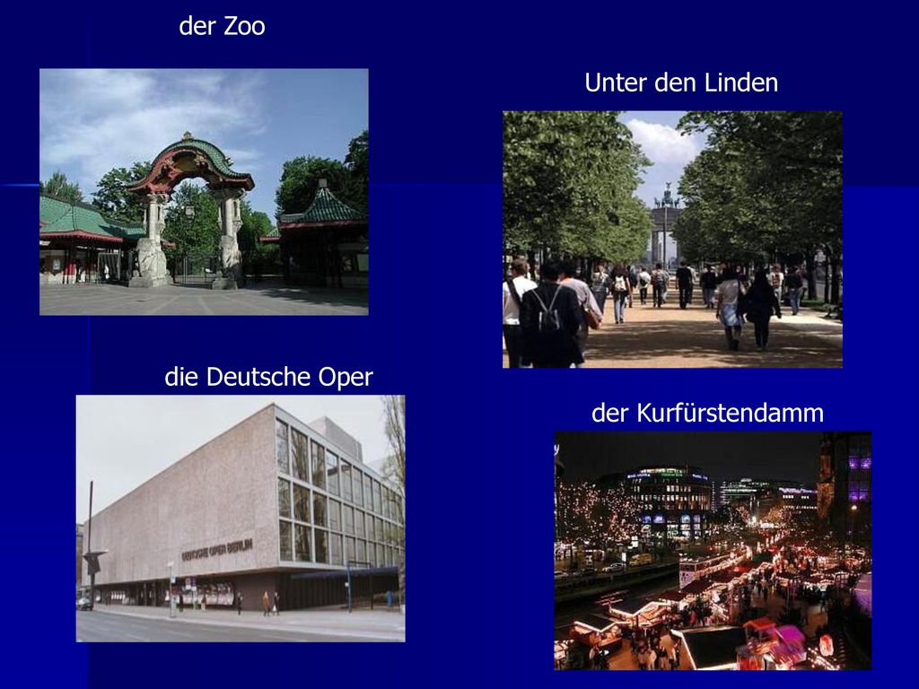 der Zoo Unter den Linden die Deutsche Oper der Kurfürstendamm