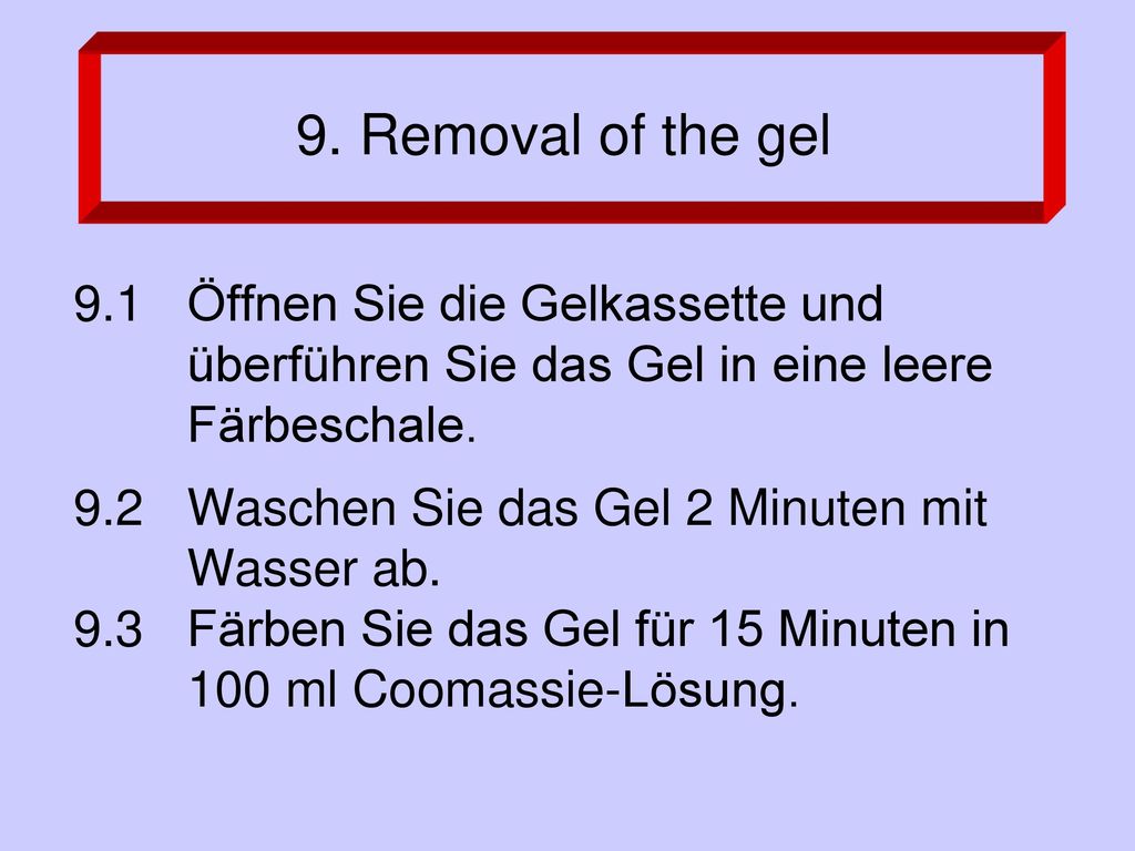 9. Removal of the gel 9.1 Öffnen Sie die Gelkassette und überführen Sie das Gel in eine leere Färbeschale.