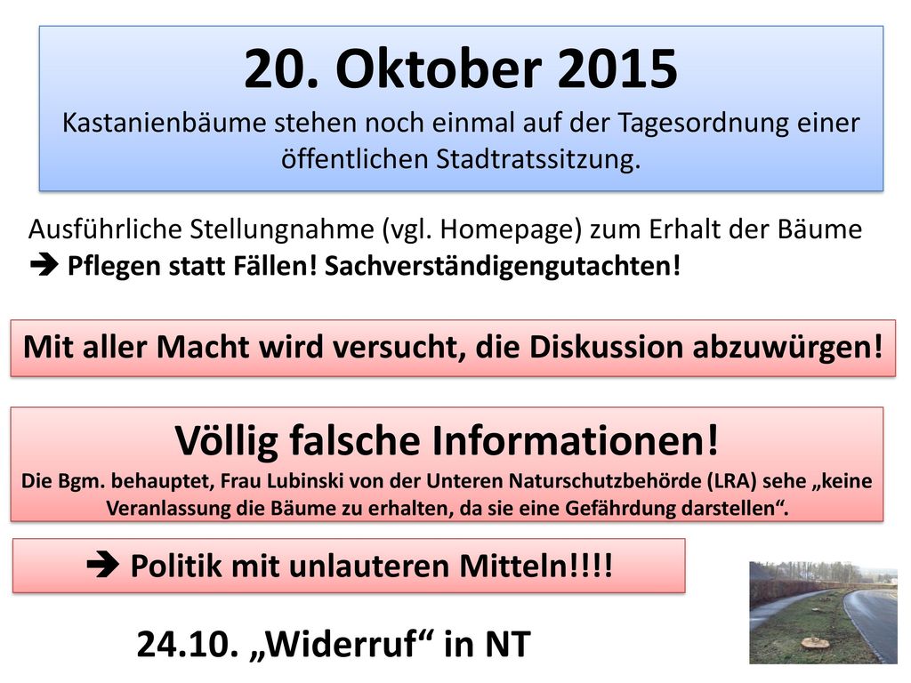 20. Oktober 2015 Kastanienbäume stehen noch einmal auf der Tagesordnung einer öffentlichen Stadtratssitzung.
