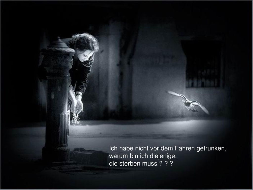Ich habe nicht vor dem Fahren getrunken, warum bin ich diejenige, die sterben muss