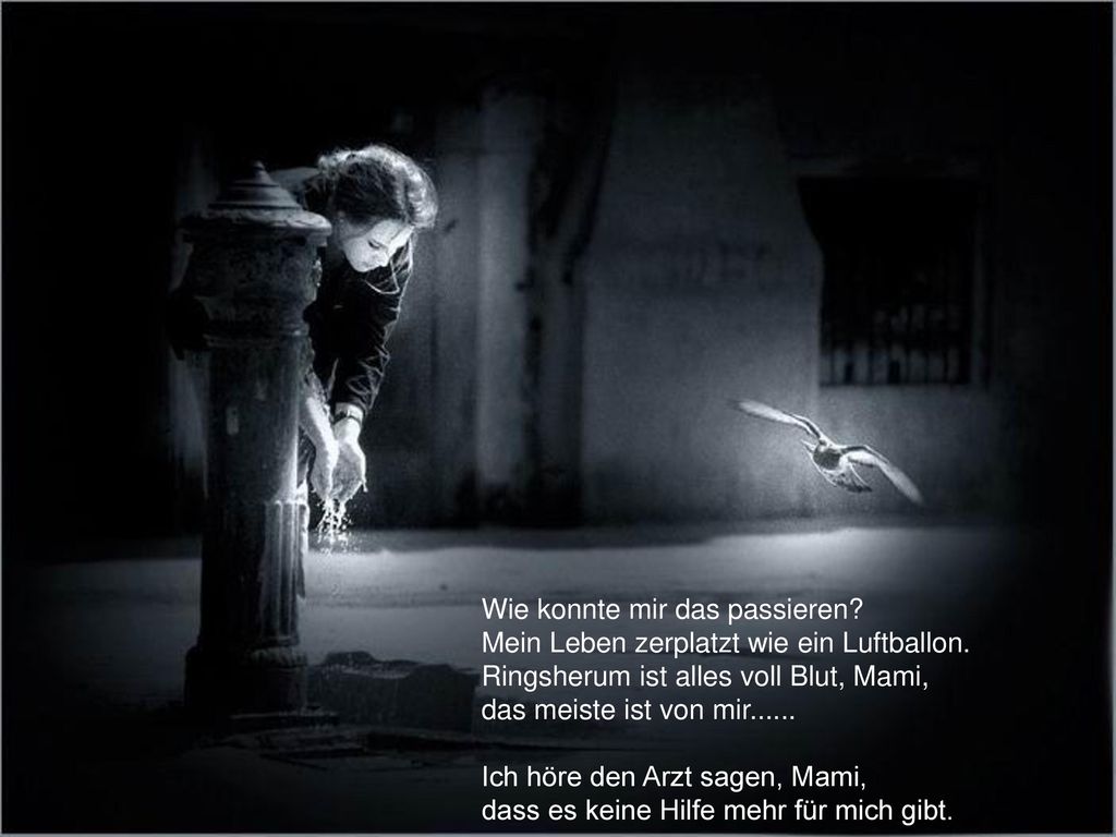 Wie konnte mir das passieren. Mein Leben zerplatzt wie ein Luftballon