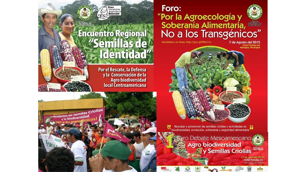 Here we see farmers from different regions of the country who are handing over a petition for the extension of the import restriction of genetic modified seed.