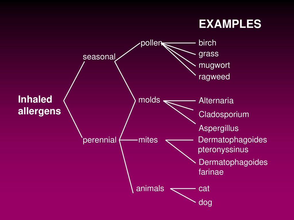 EXAMPLES Inhaled allergens pollen birch grass seasonal mugwort ragweed
