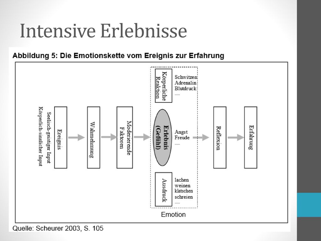 Intensive Erlebnisse = weg von der Spass und hin zur Sinngesellschaft oder Erlebnisgesellschaft