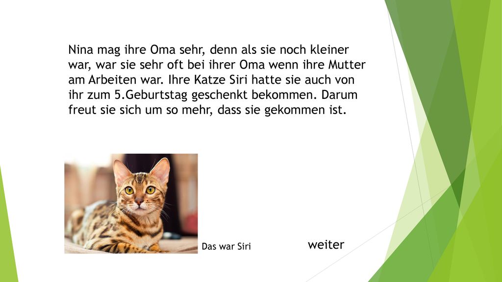 Nina mag ihre Oma sehr, denn als sie noch kleiner war, war sie sehr oft bei ihrer Oma wenn ihre Mutter am Arbeiten war. Ihre Katze Siri hatte sie auch von ihr zum 5.Geburtstag geschenkt bekommen. Darum freut sie sich um so mehr, dass sie gekommen ist.