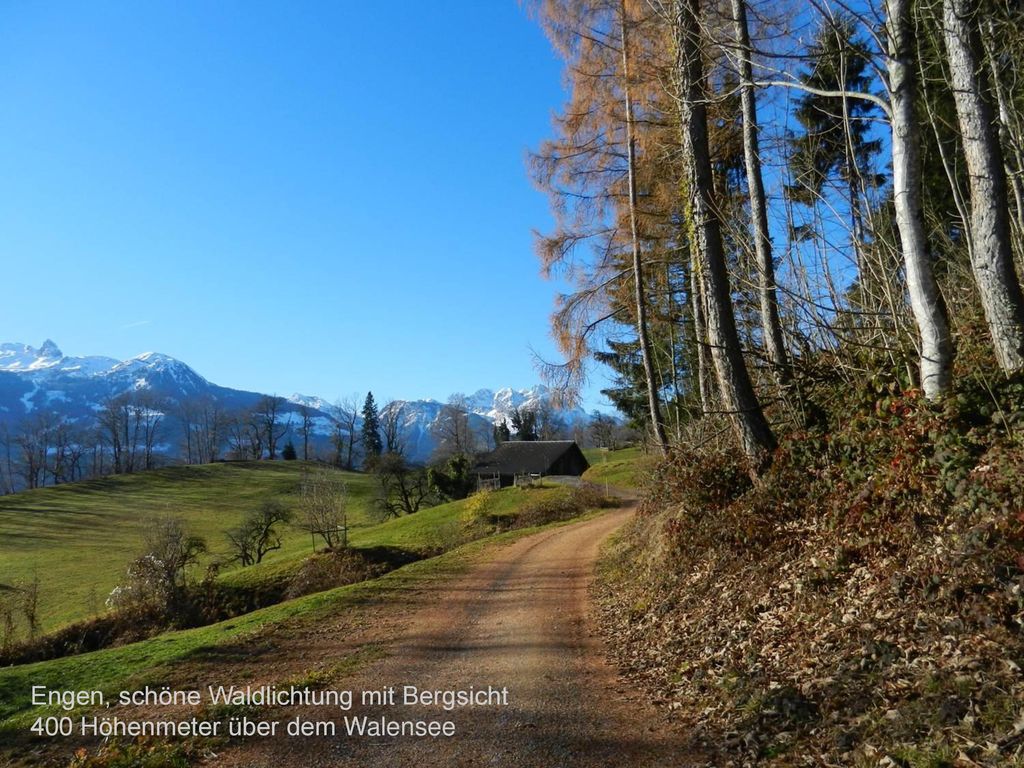 Engen, schöne Waldlichtung mit Bergsicht 400 Höhenmeter über dem Walensee