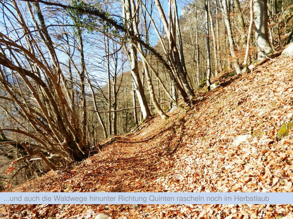 ...und auch die Waldwege hinunter Richtung Quinten rascheln noch im Herbstlaub