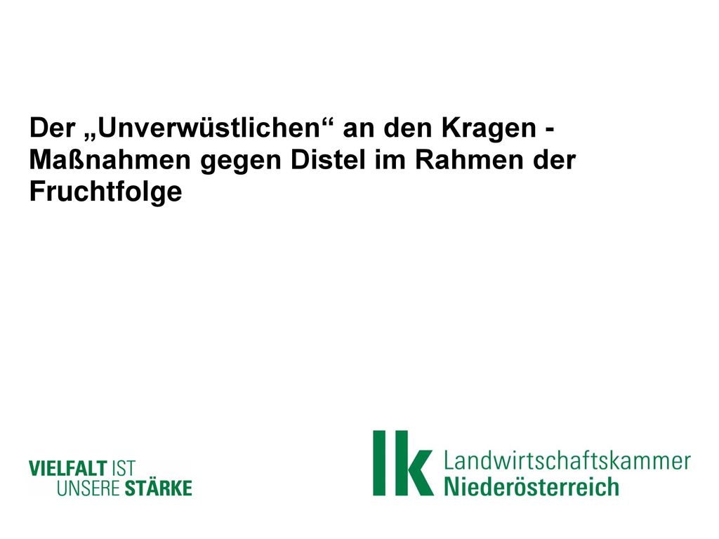 Der „Unverwüstlichen an den Kragen - Maßnahmen gegen Distel im Rahmen der Fruchtfolge