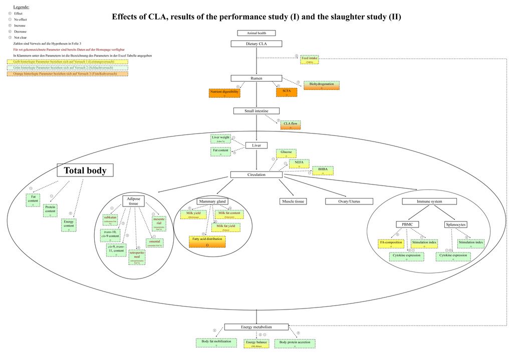Legende: Effect. No effect. Increase. Decrease. Not clear. Zahlen sind Verweis auf die Hypothesen in Folie 3.