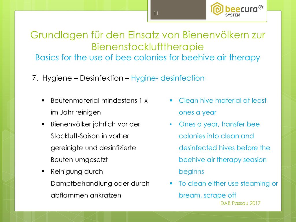 Basics for the use of bee colonies for beehive air therapy