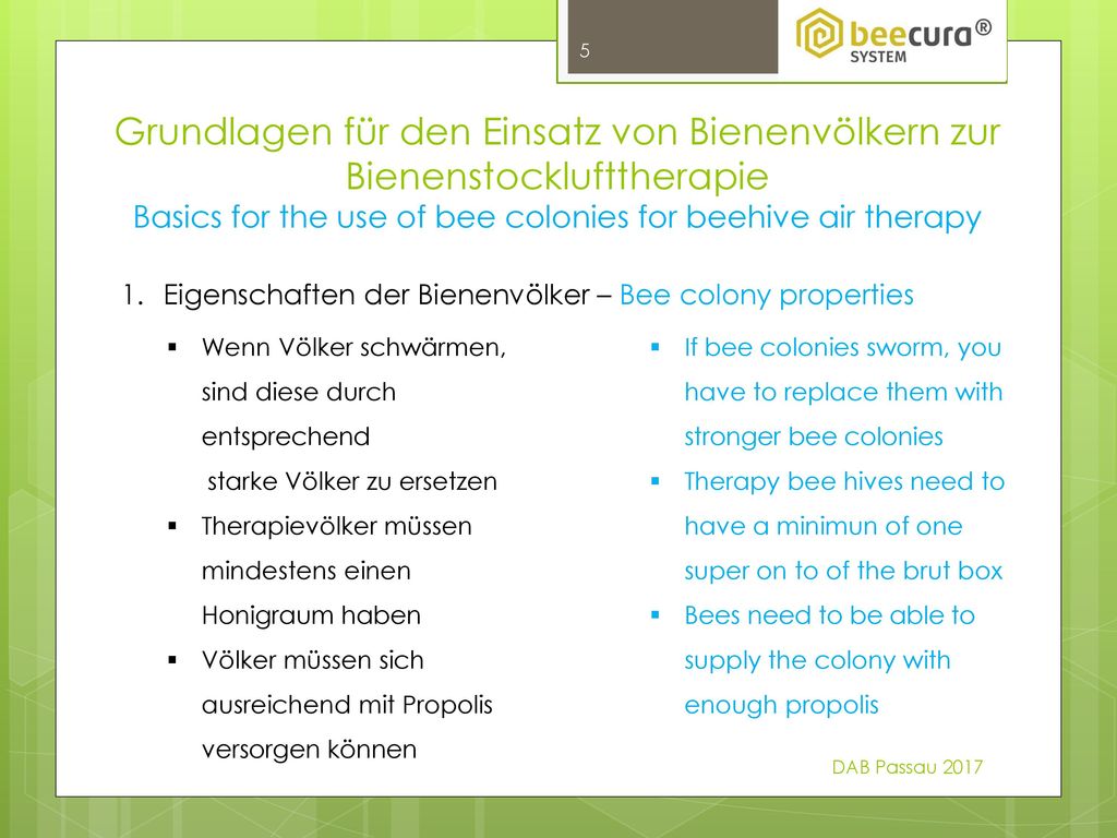 Basics for the use of bee colonies for beehive air therapy