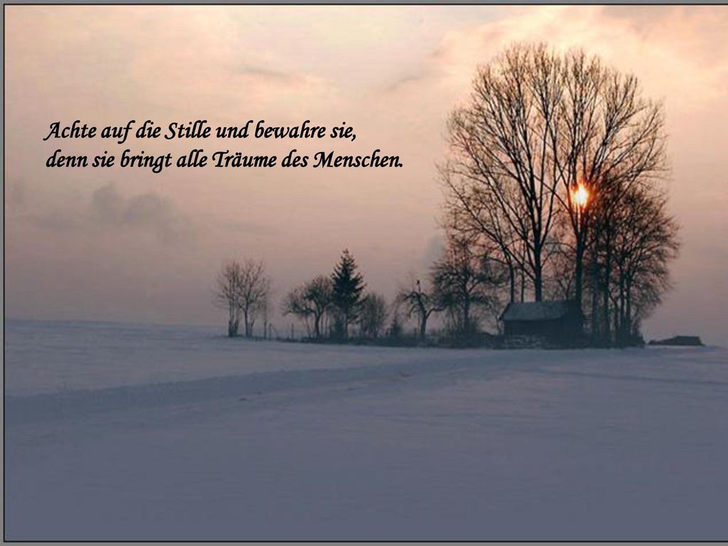 Achte auf die Stille und bewahre sie, denn sie bringt alle Träume des Menschen.