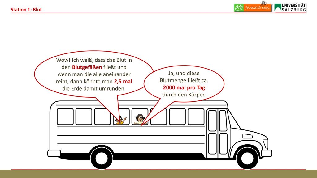 Ja, und diese Blutmenge fließt ca mal pro Tag durch den Körper.