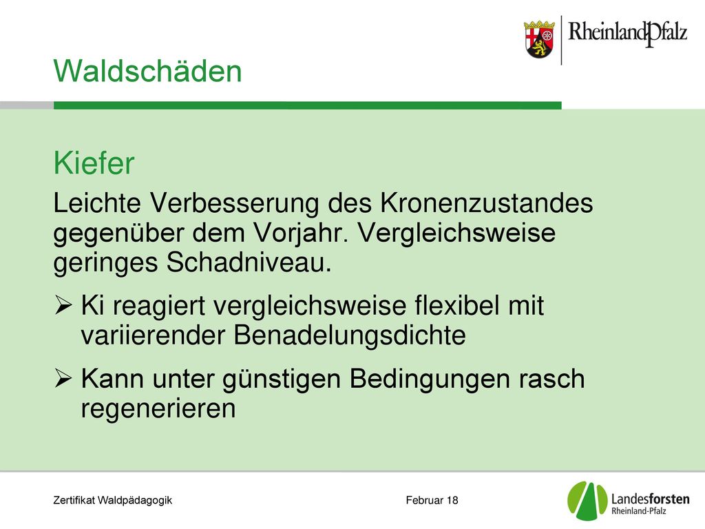 Waldschäden Kiefer. Leichte Verbesserung des Kronenzustandes gegenüber dem Vorjahr. Vergleichsweise geringes Schadniveau.
