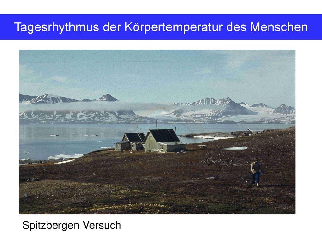 Tagesrhythmus der Körpertemperatur des Menschen